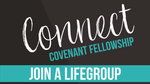 Connect with a LIFE Group