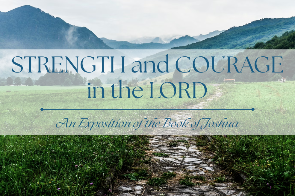 Strength and Courage in the LORD series image