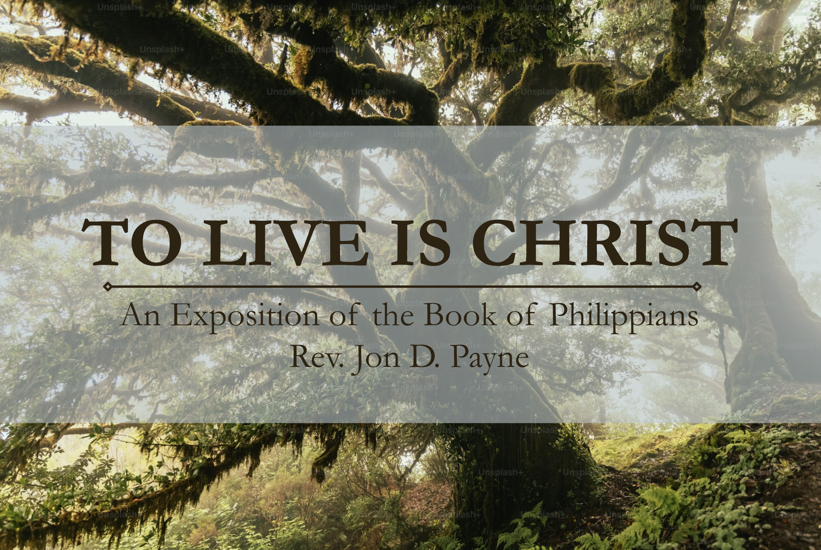 To Live Is Christ series image