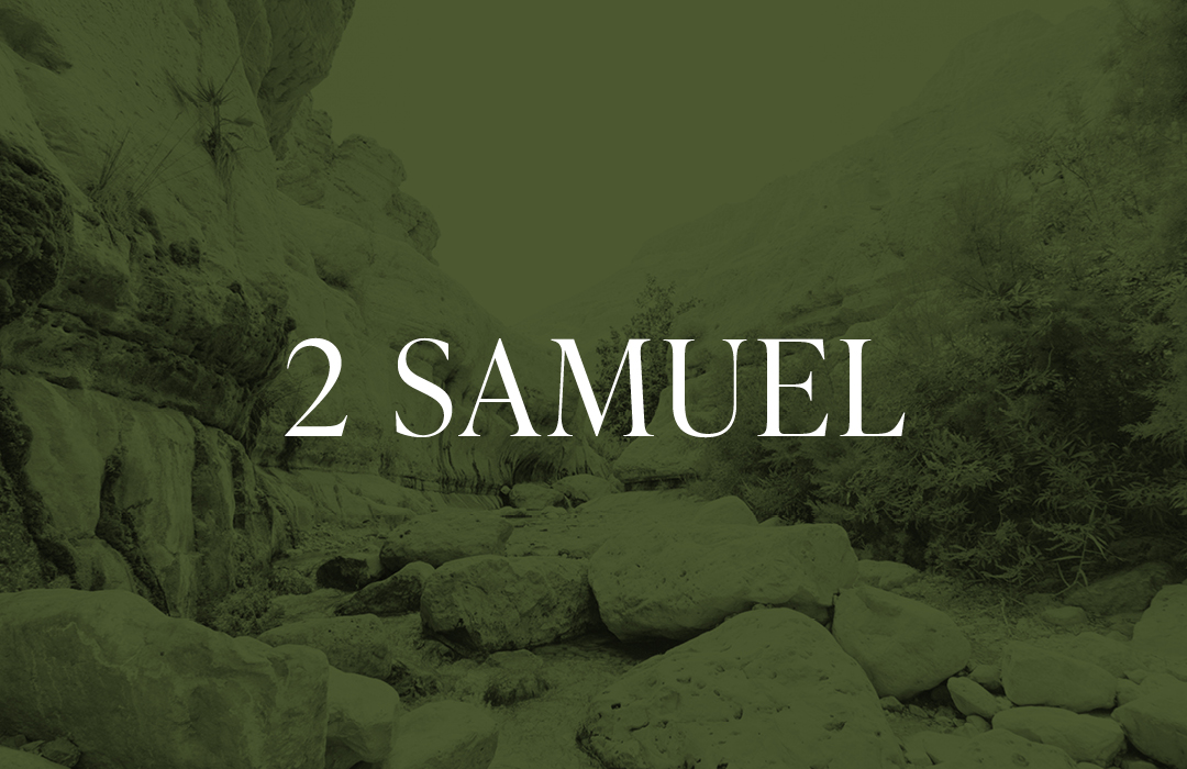 2 Samuel banner