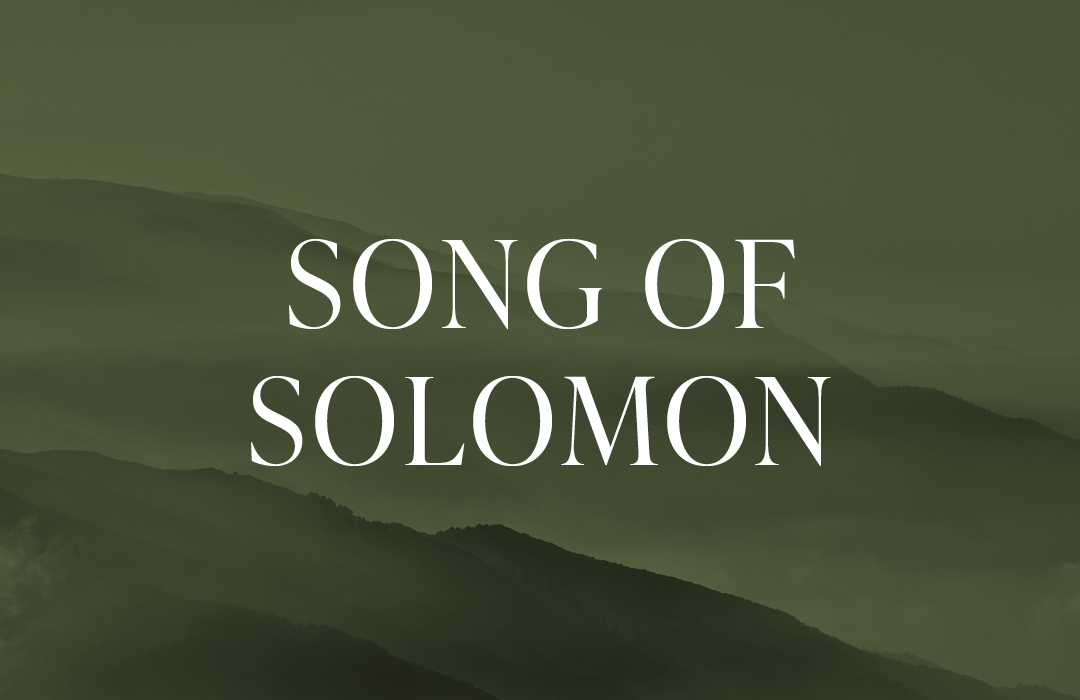 Song of Solomon banner