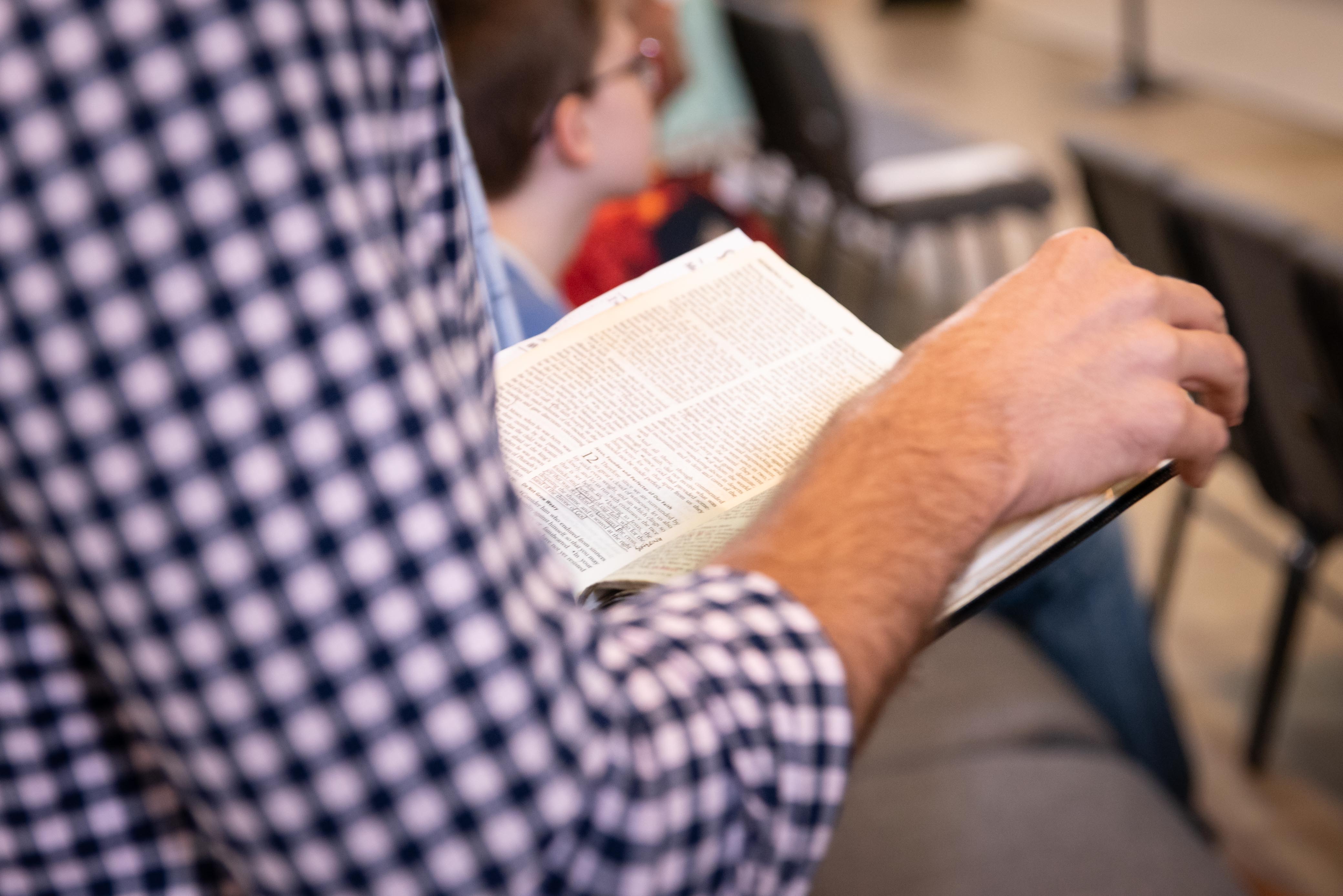 Using descriptive norms in messaging | by Brooke Tully | brooke's2cents |  Medium, image size:4159x2776