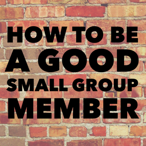 A Good Small Group Member