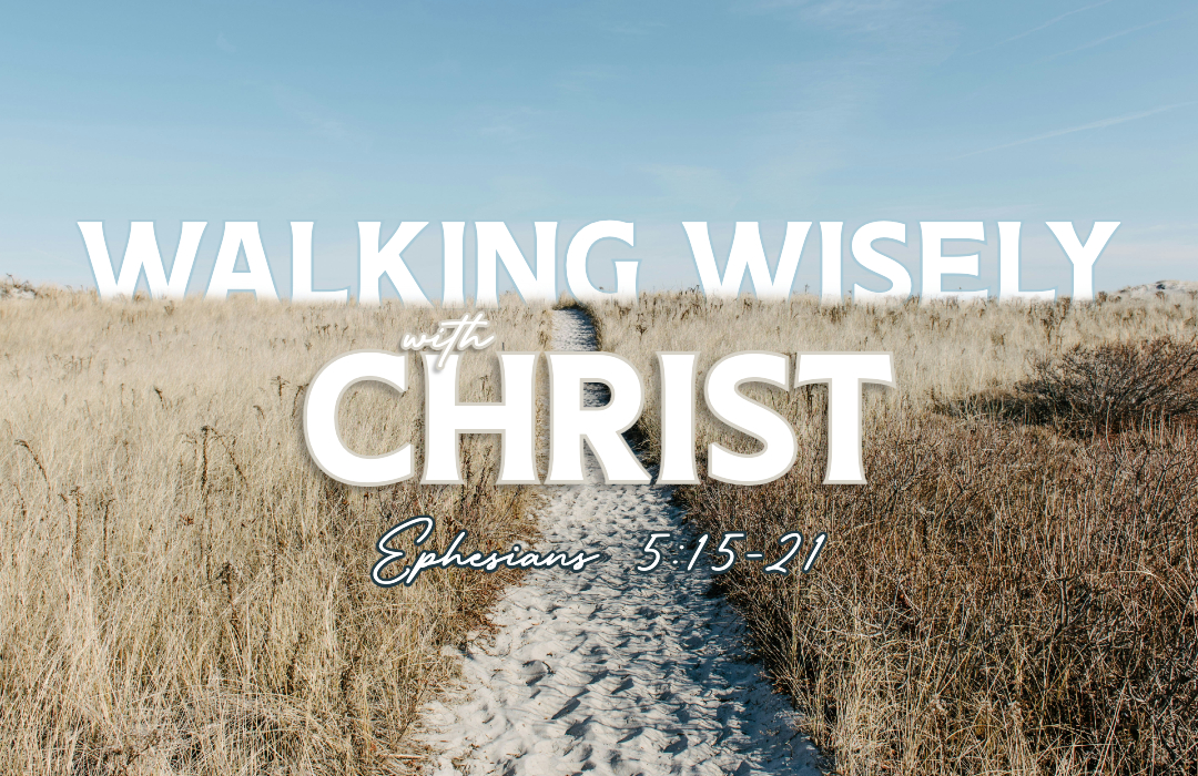 Walking Wisely with Christ series image