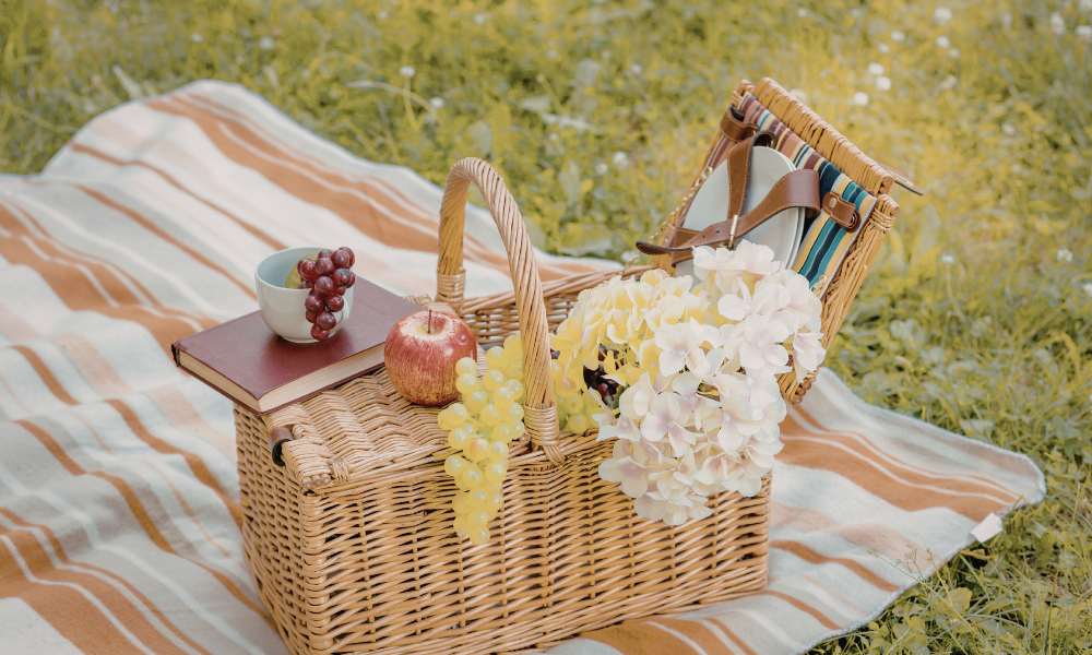 Picnic in the park ladies