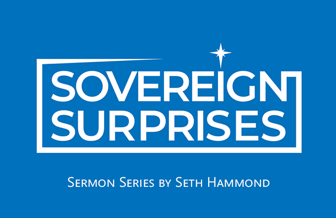 Sovereign Surprises banner
