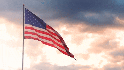 FlagWavingLoop image