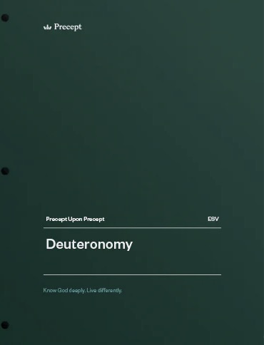 Deuteronomy copy