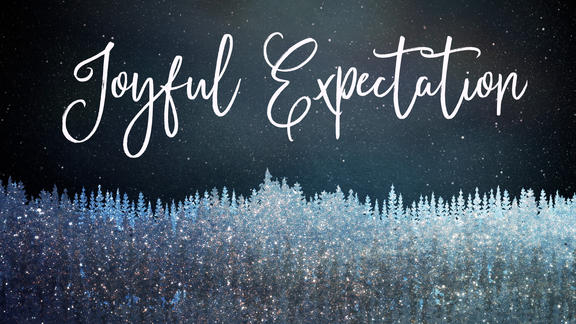 Joyful Expectation banner