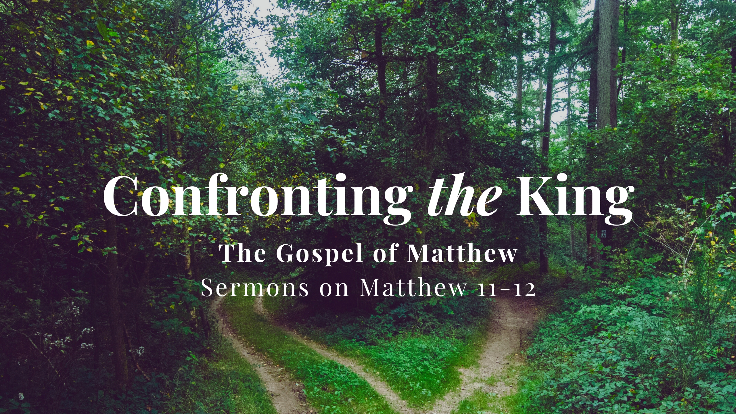 Confronting the King // Sermons on Matthew 11-12 banner