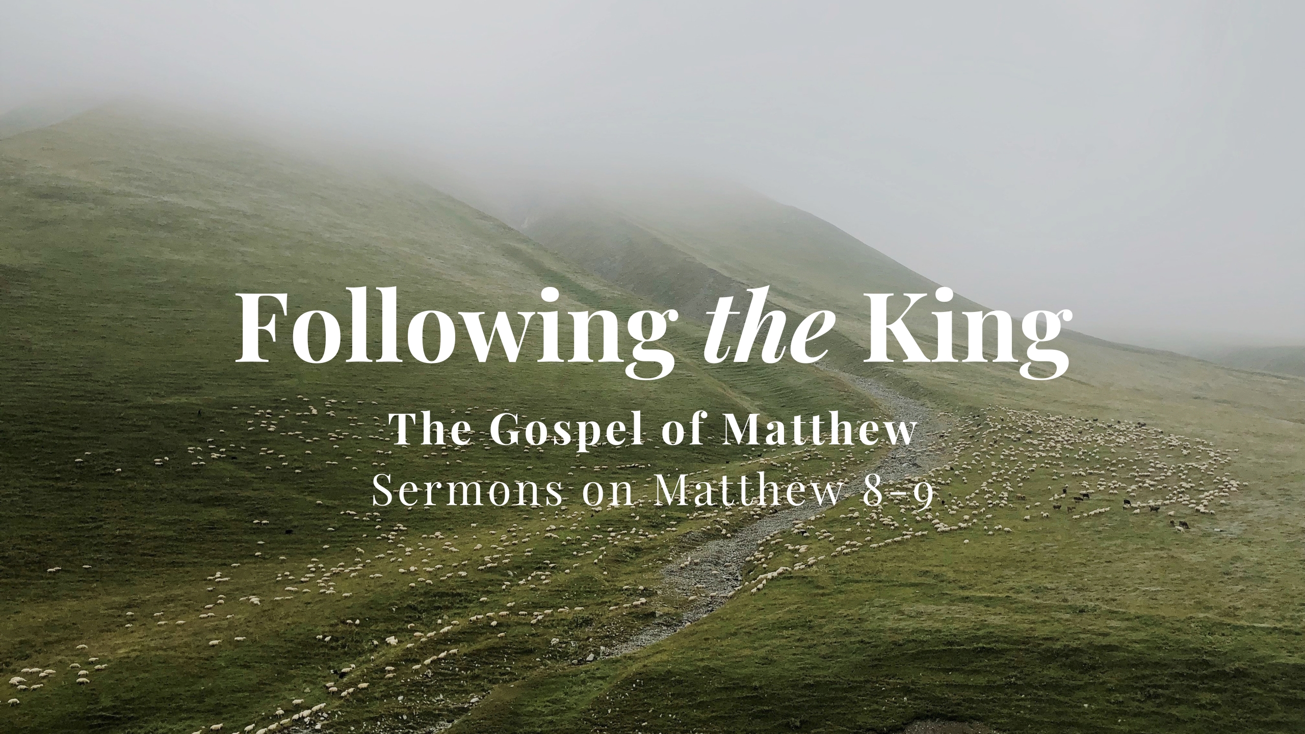 Following the King // Sermons on Matthew 8-9 banner