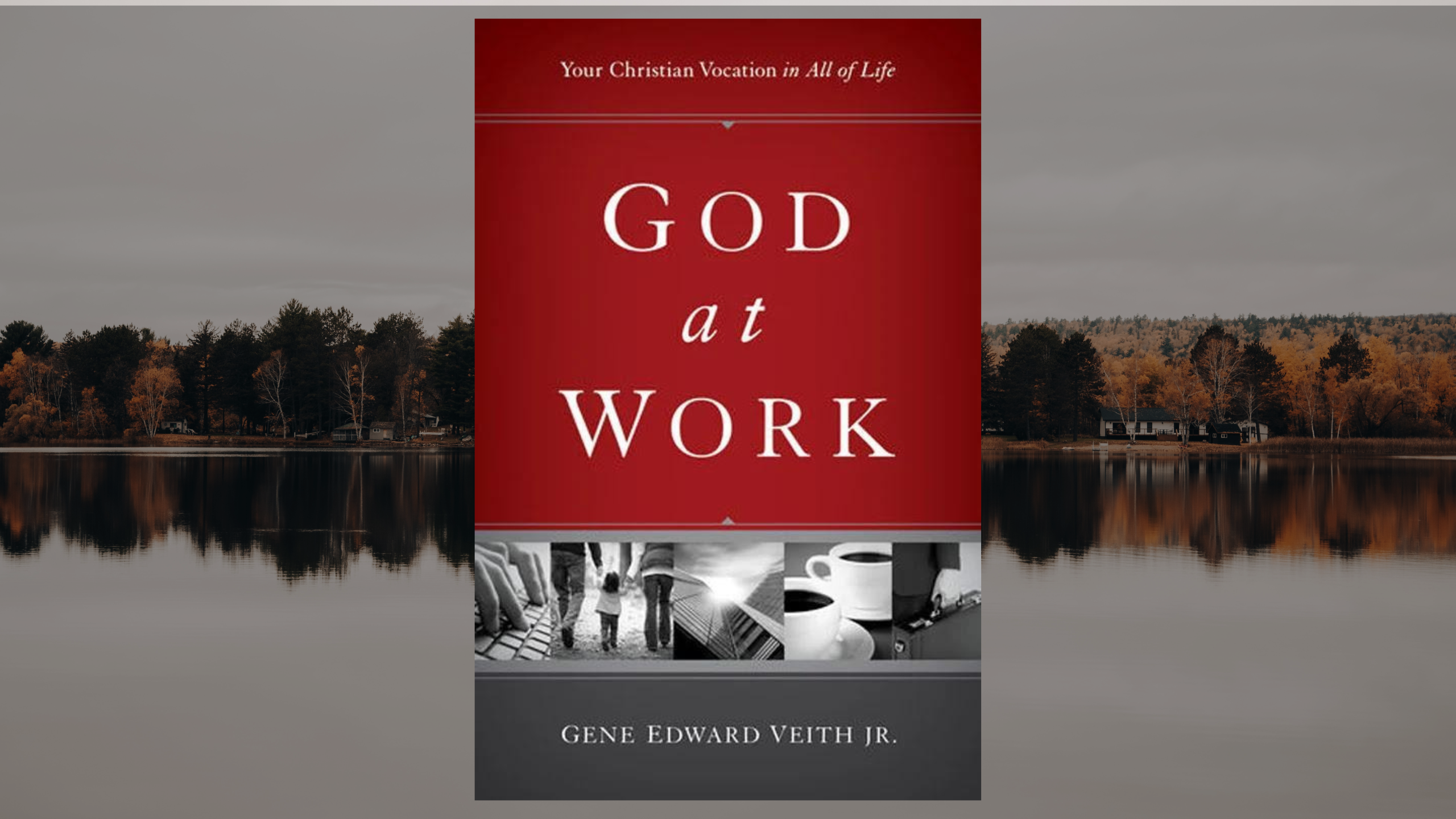 God at Work by Gene Veith image