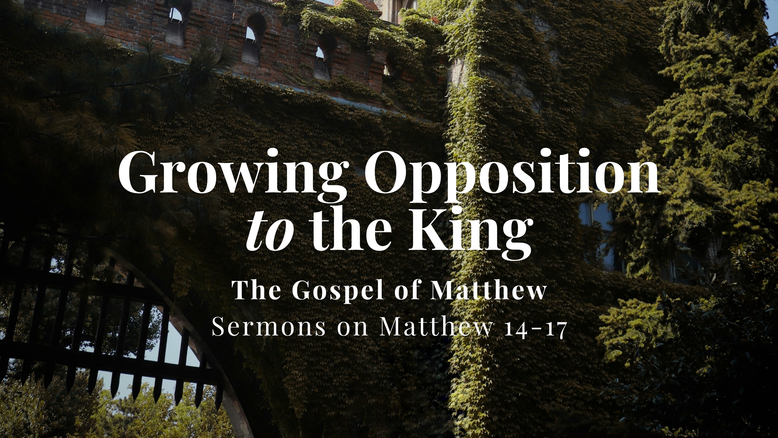 Growing Opposition to the King // Sermons on Matthew 14-17 banner