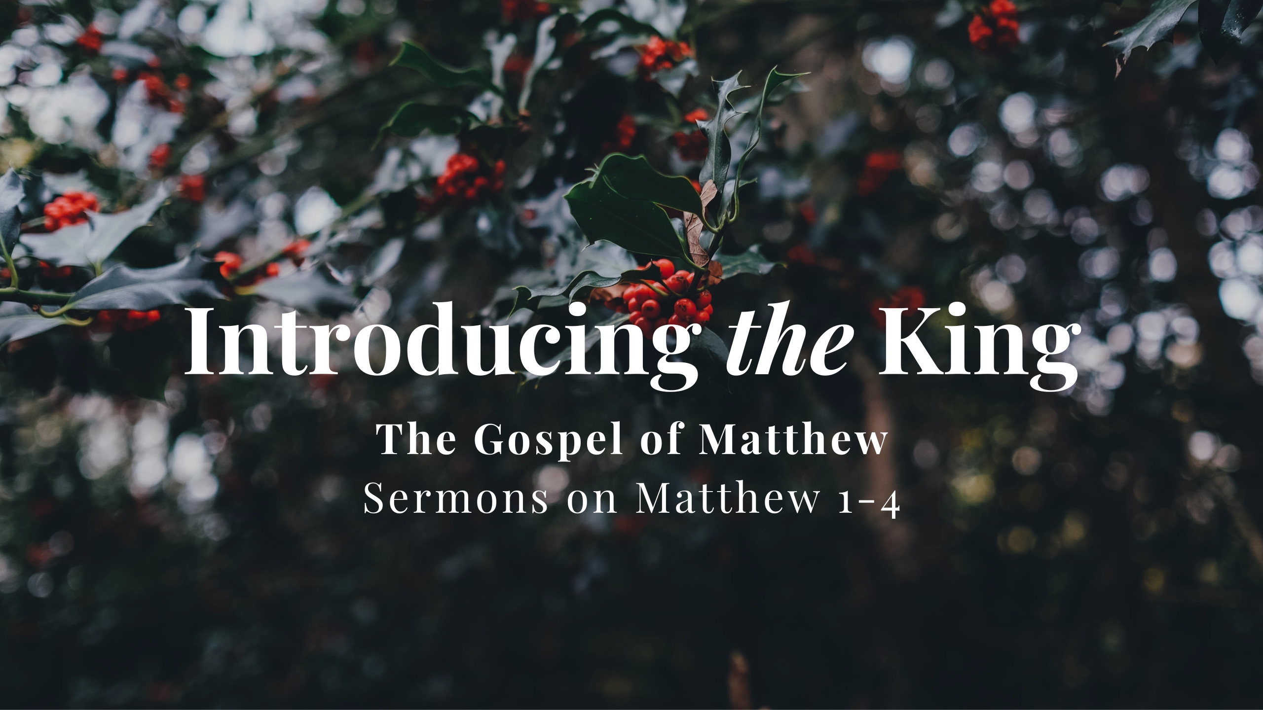 Introducing the King // Sermons on Matthew 1-4 banner
