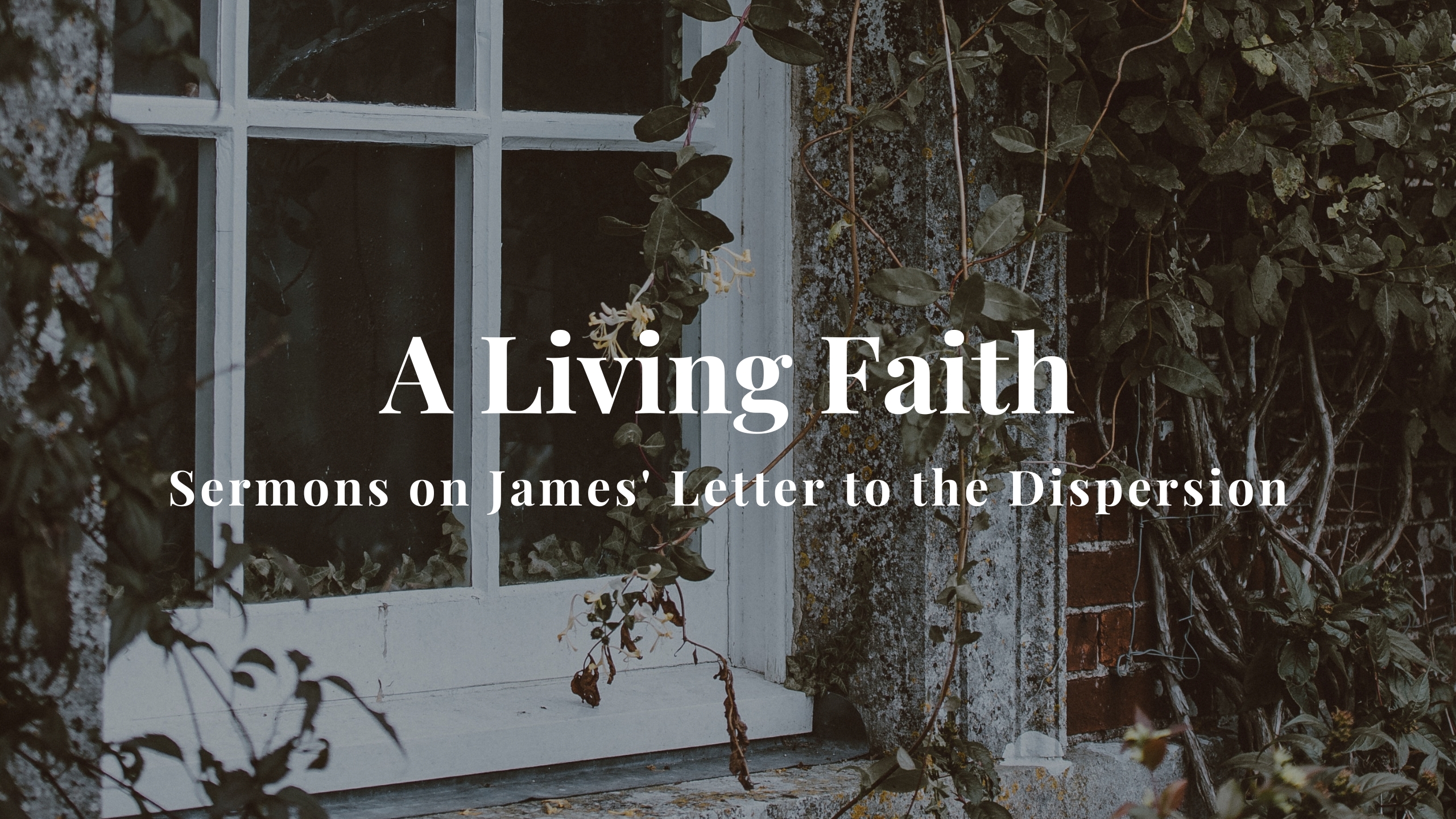 A Living Faith // Sermons on James banner