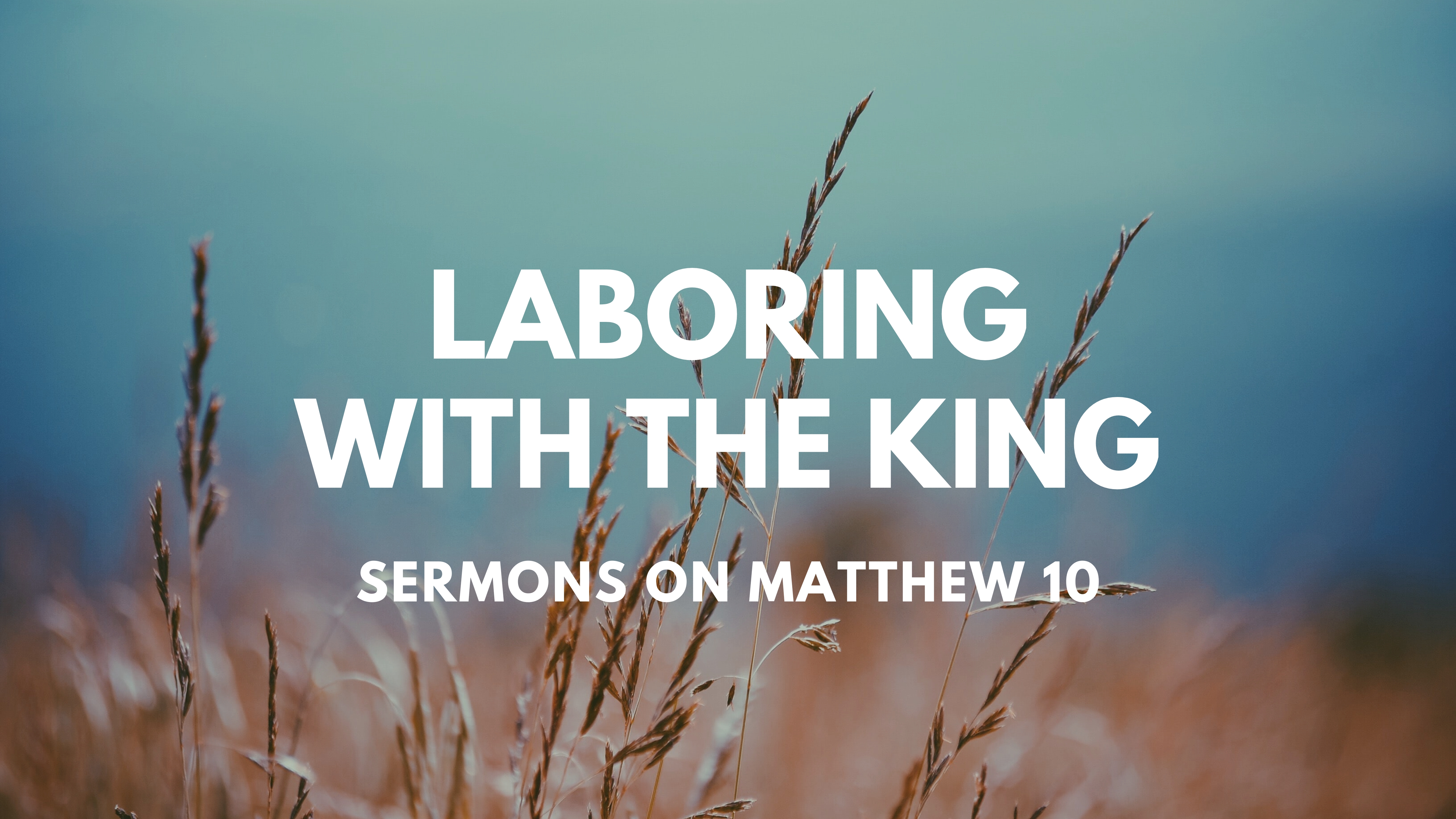 Laboring with the King // Sermons on Matthew 10 banner