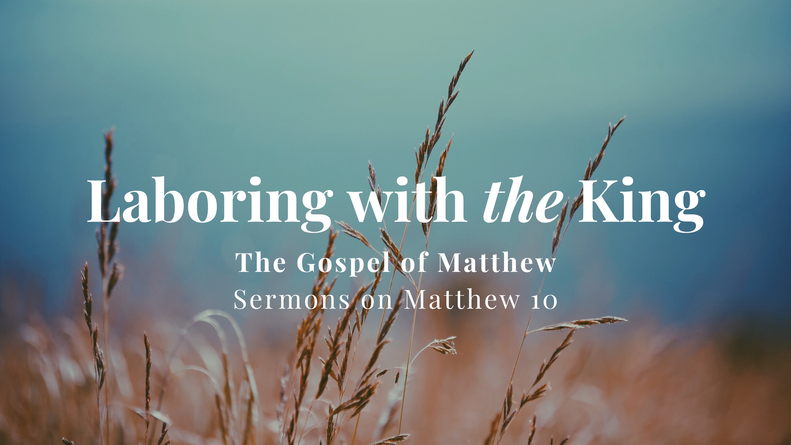 Laboring with the King // Sermons on Matthew 10 banner