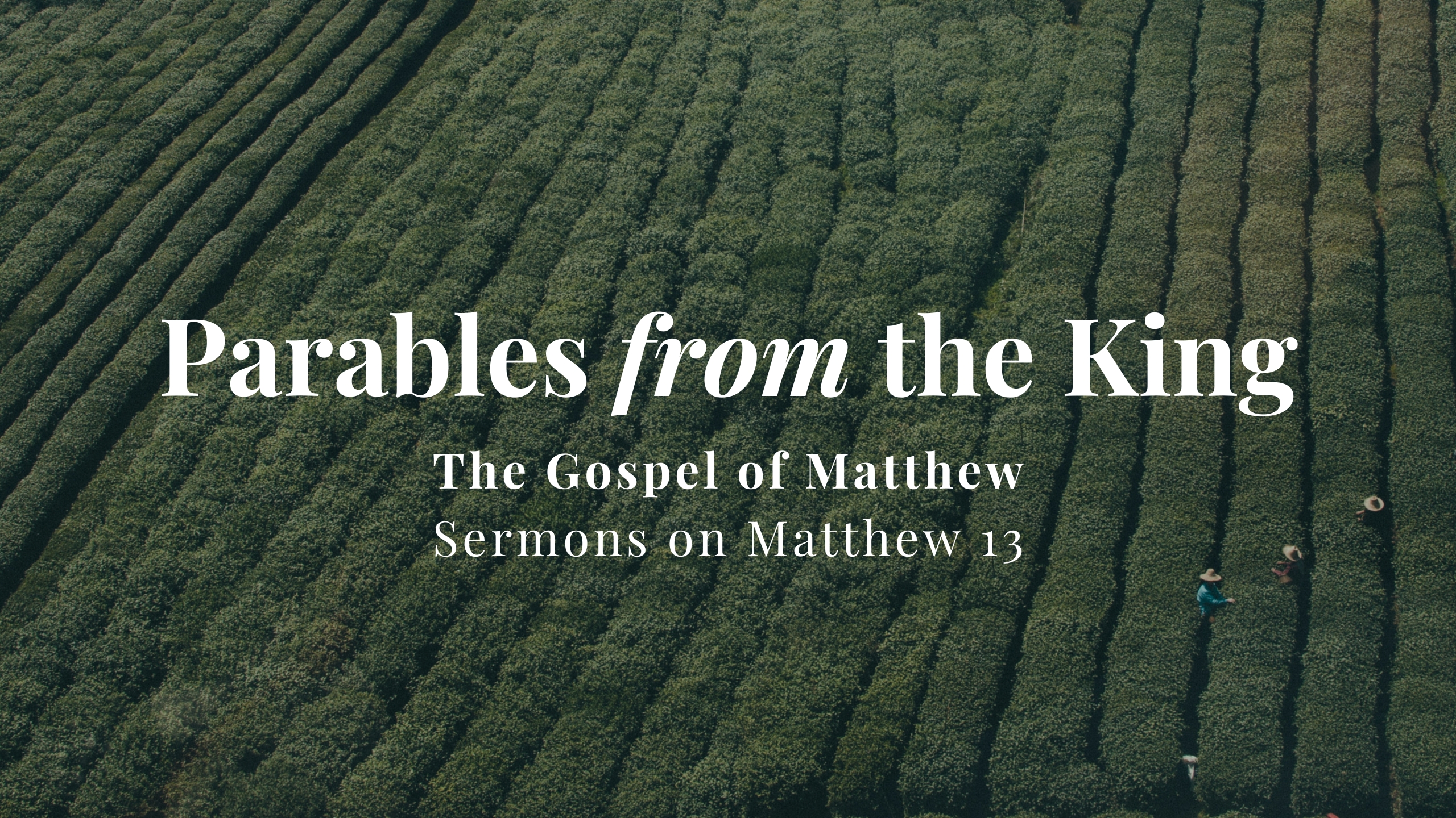 Parables from the King // Sermons on Matthew 13 banner