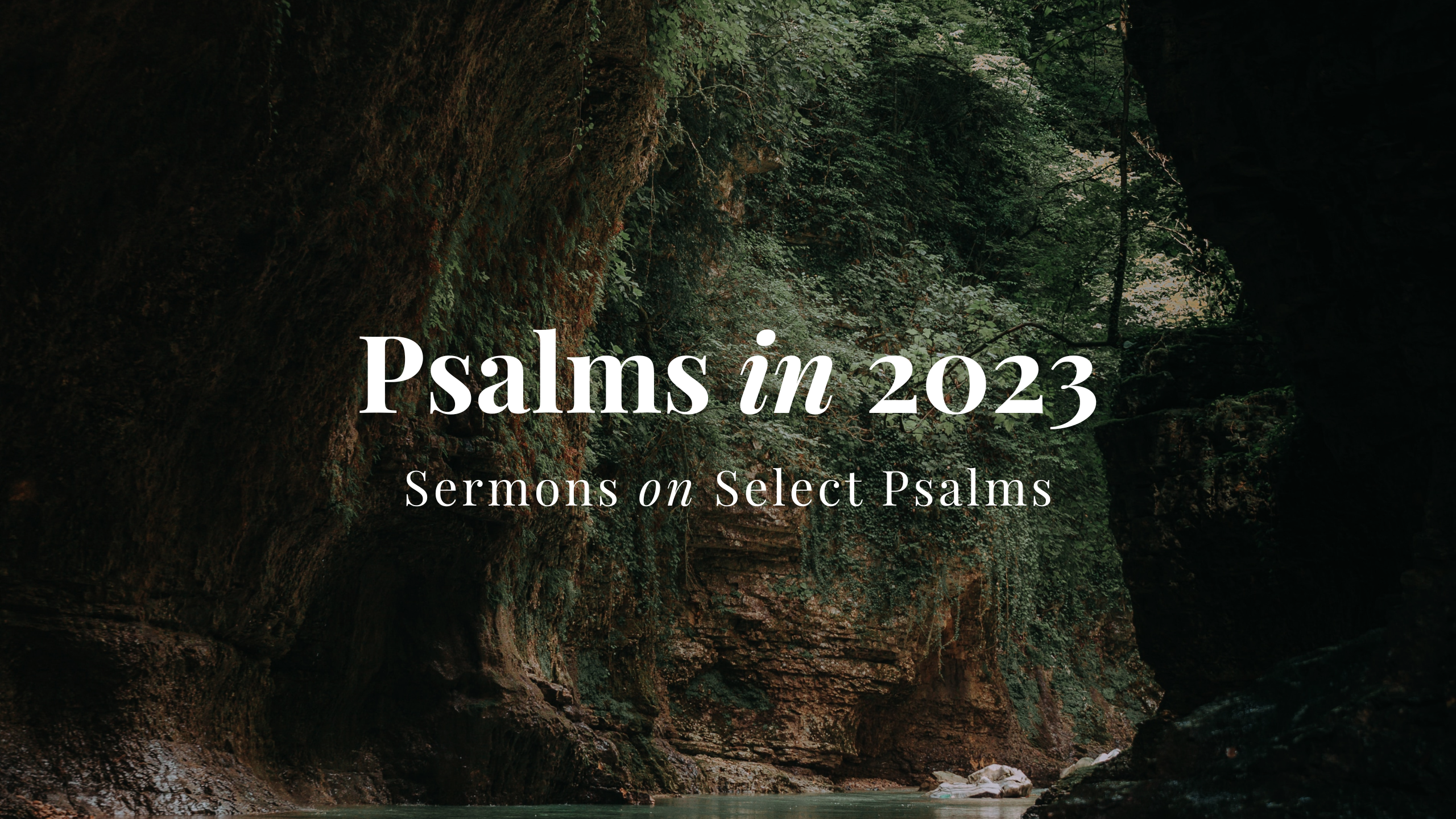 Psalms in 2023 // Sermons on Select Psalms banner