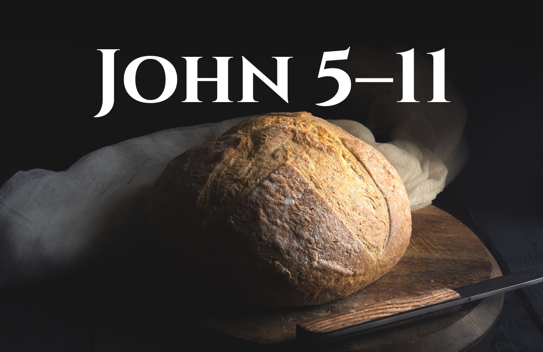 John 5-11 banner