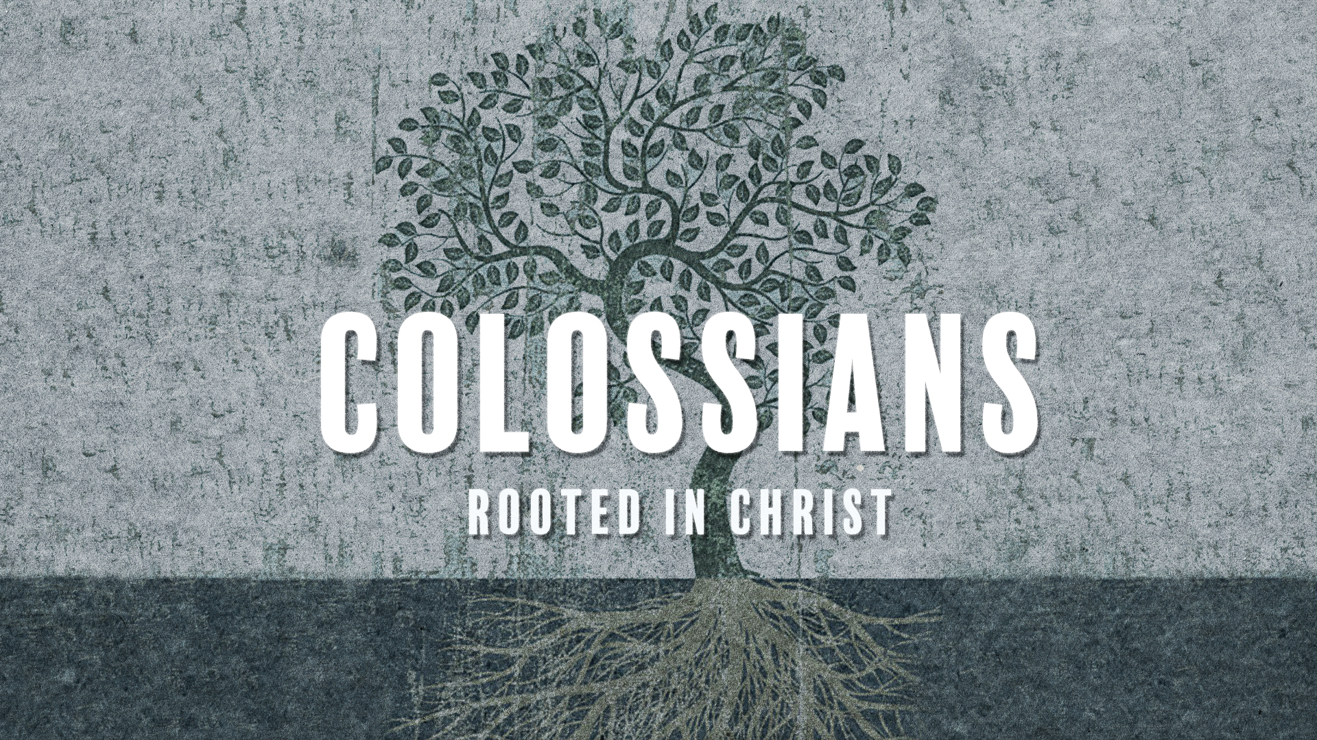 Colossians: Rooted in Christ image
