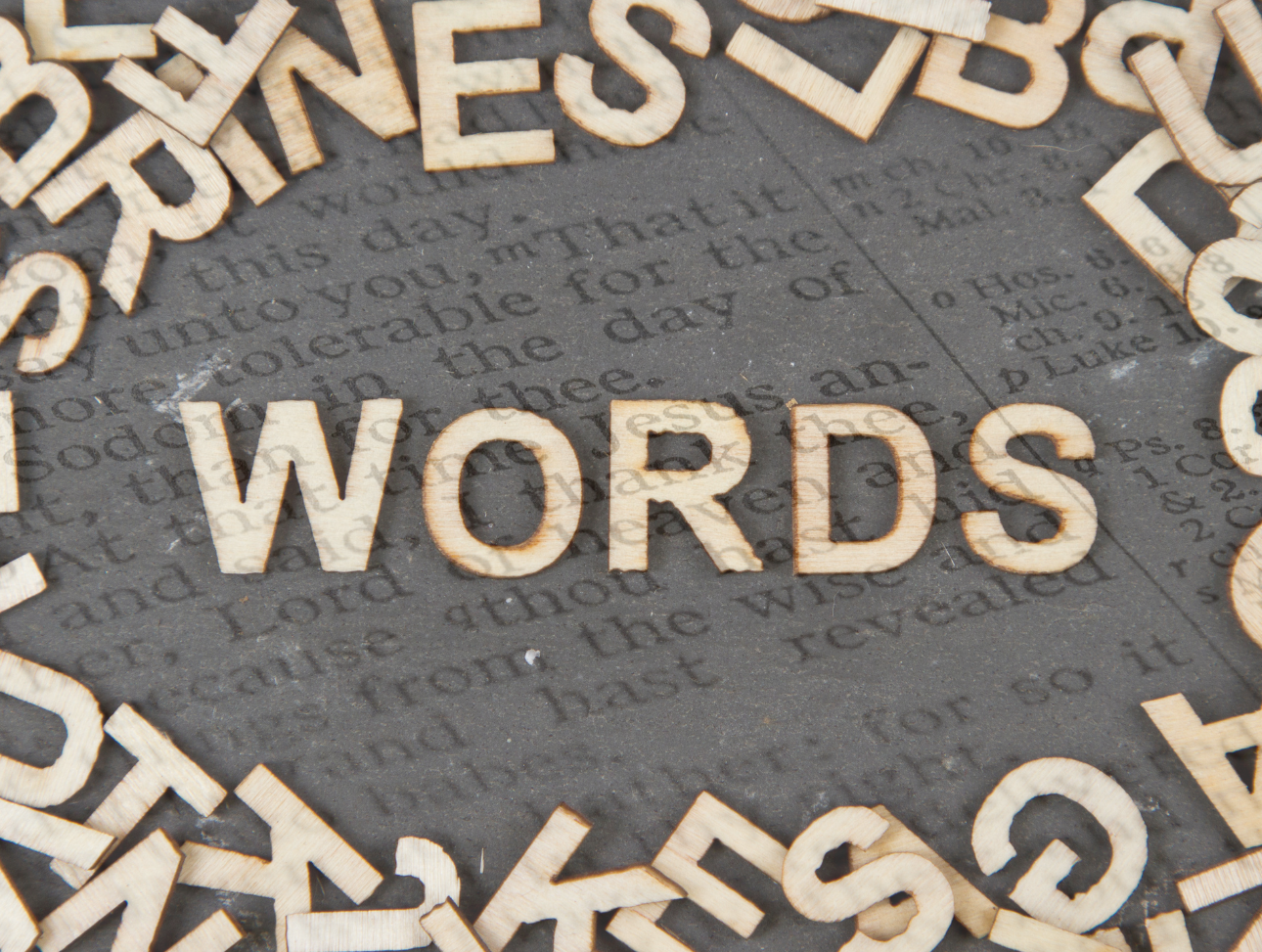 Word on the Word series image