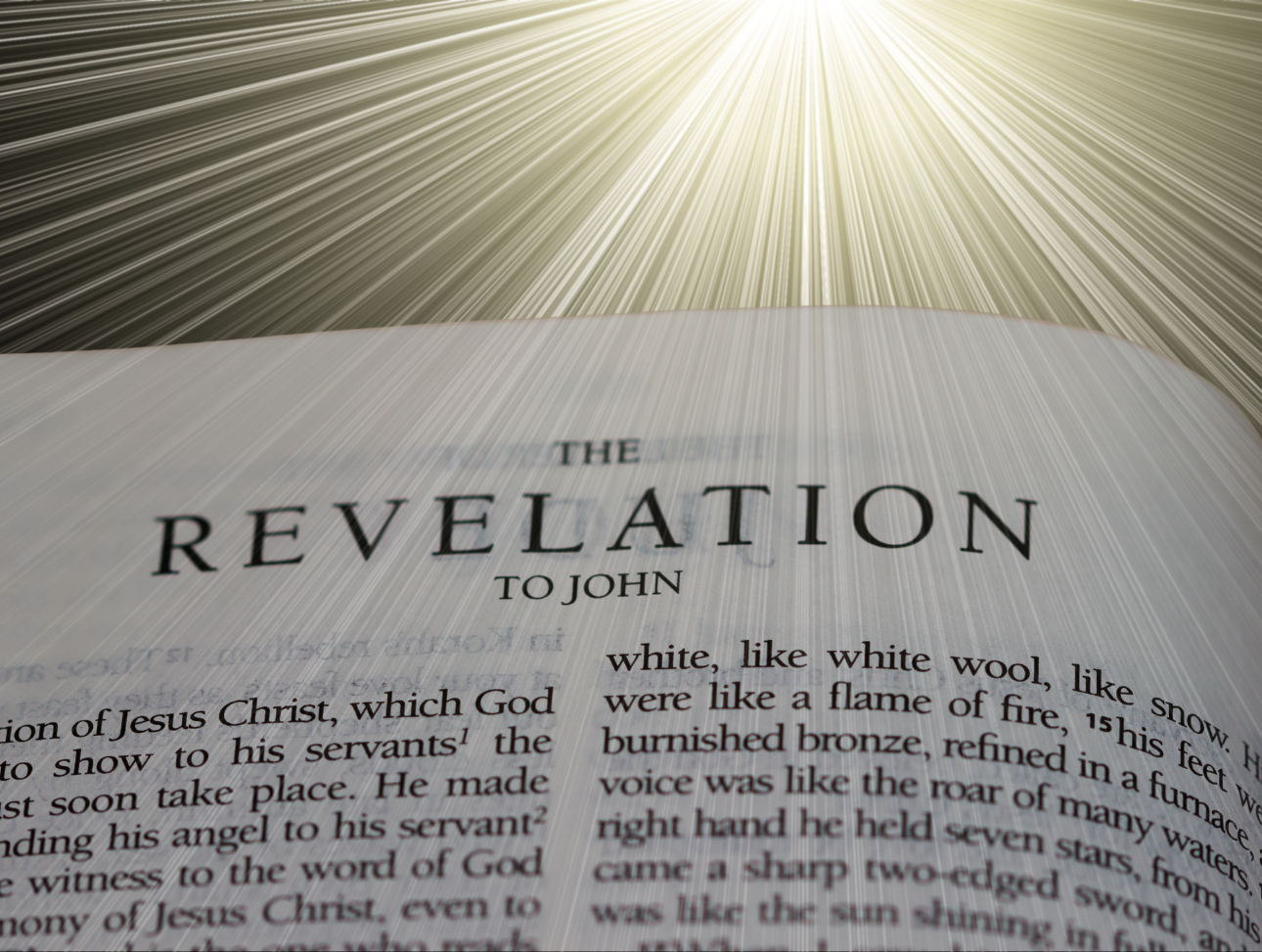 Revelation series image