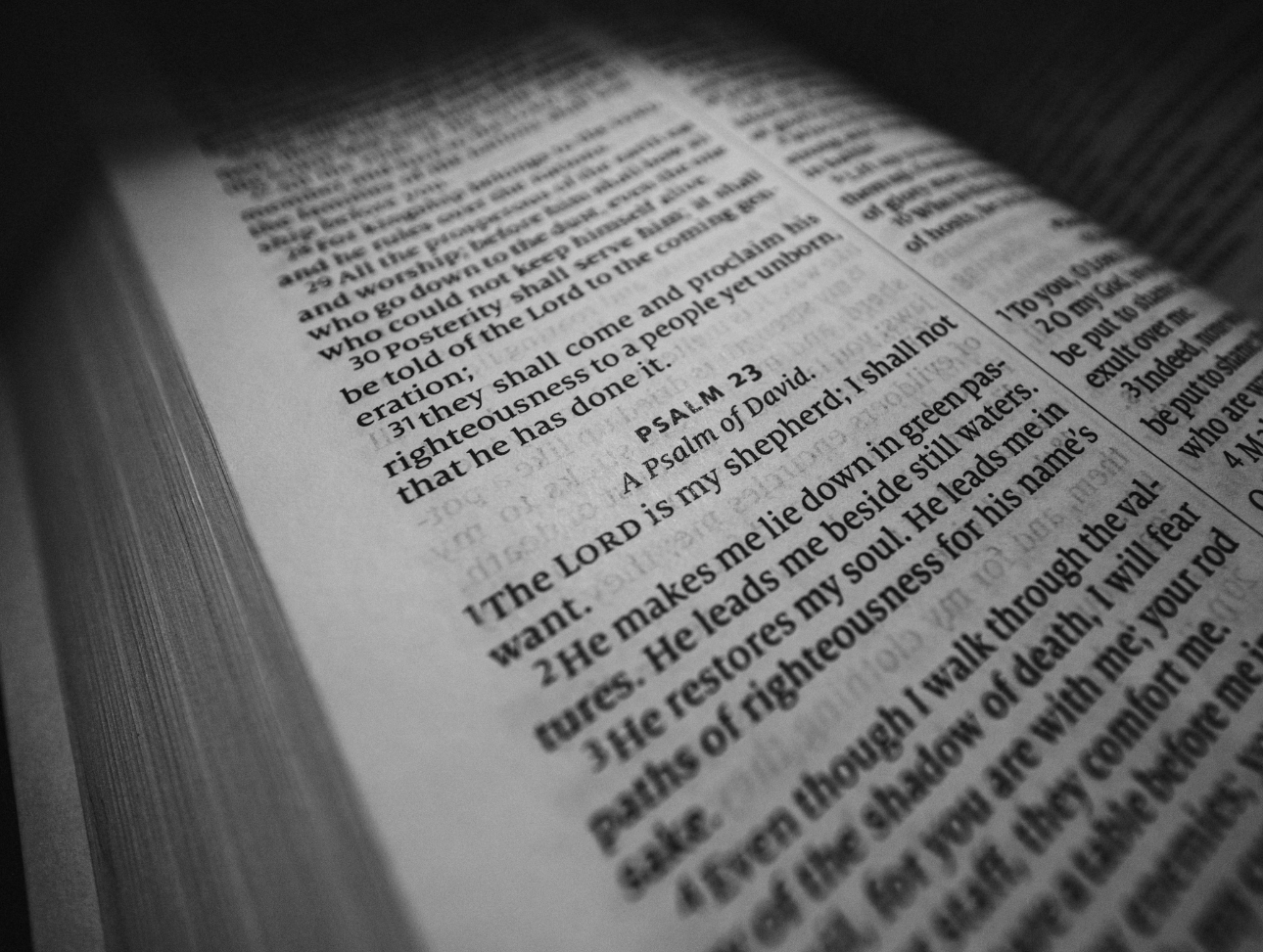 Sermon Sundays
