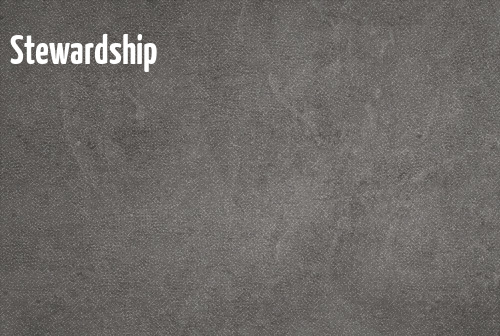 Stewardship