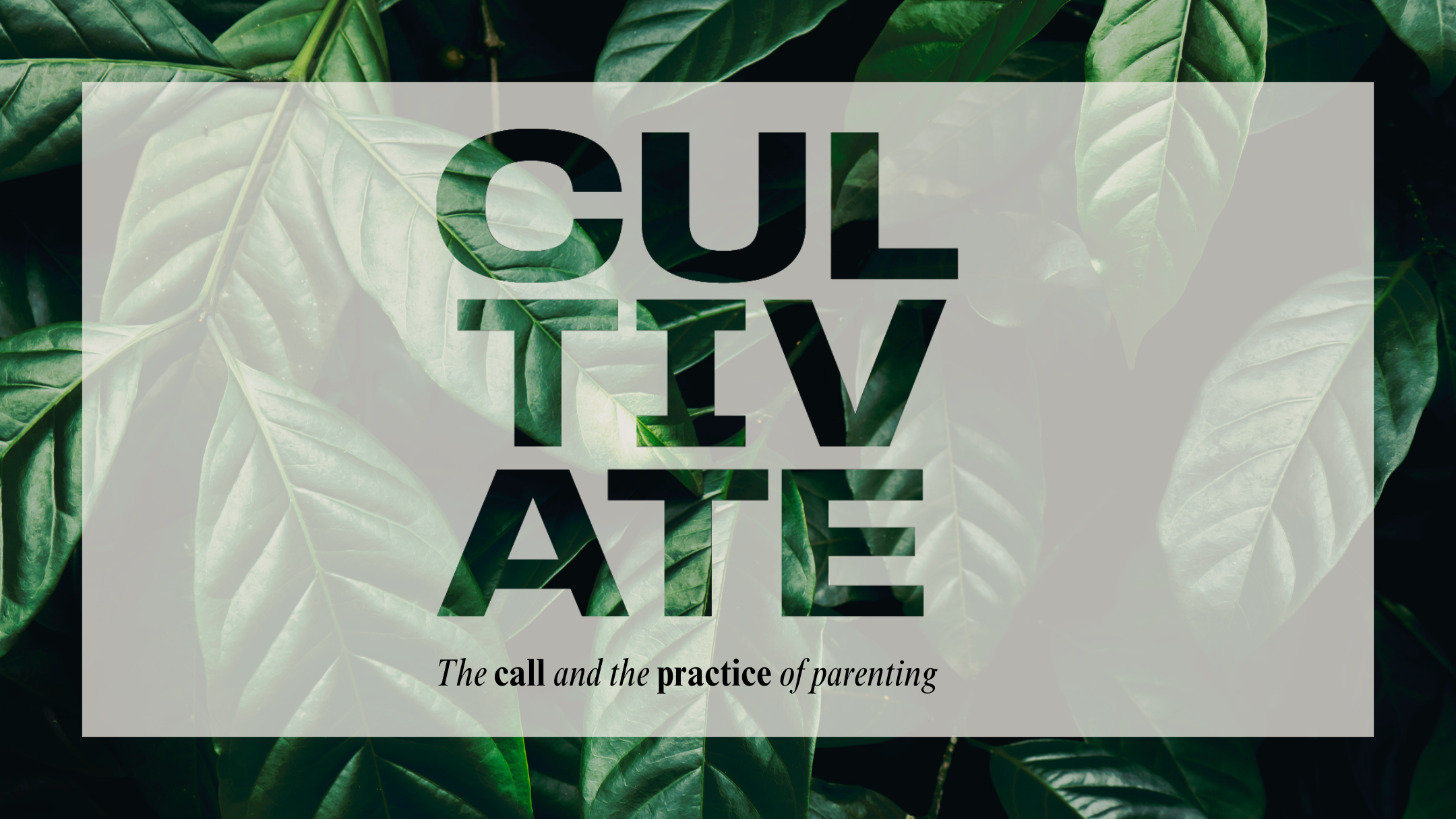 Cultivate Conference 2023 banner