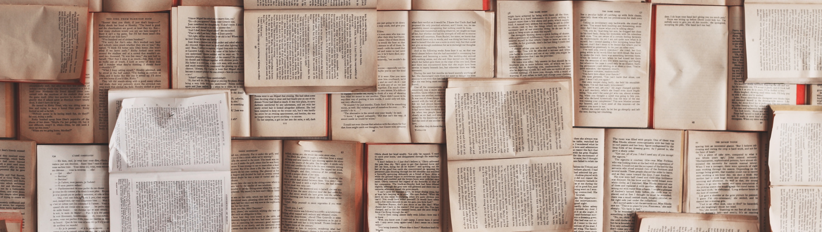 page banner