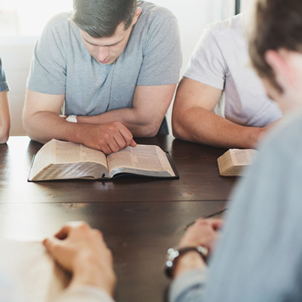 Mens-Bible-Study-500px-600x0-c-default-4173848121 image