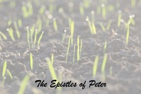 The Letters of Peter