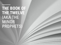 The Book of the Twelve (AKA the Minor Prophets)