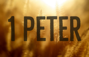 1 Peter Event Image image