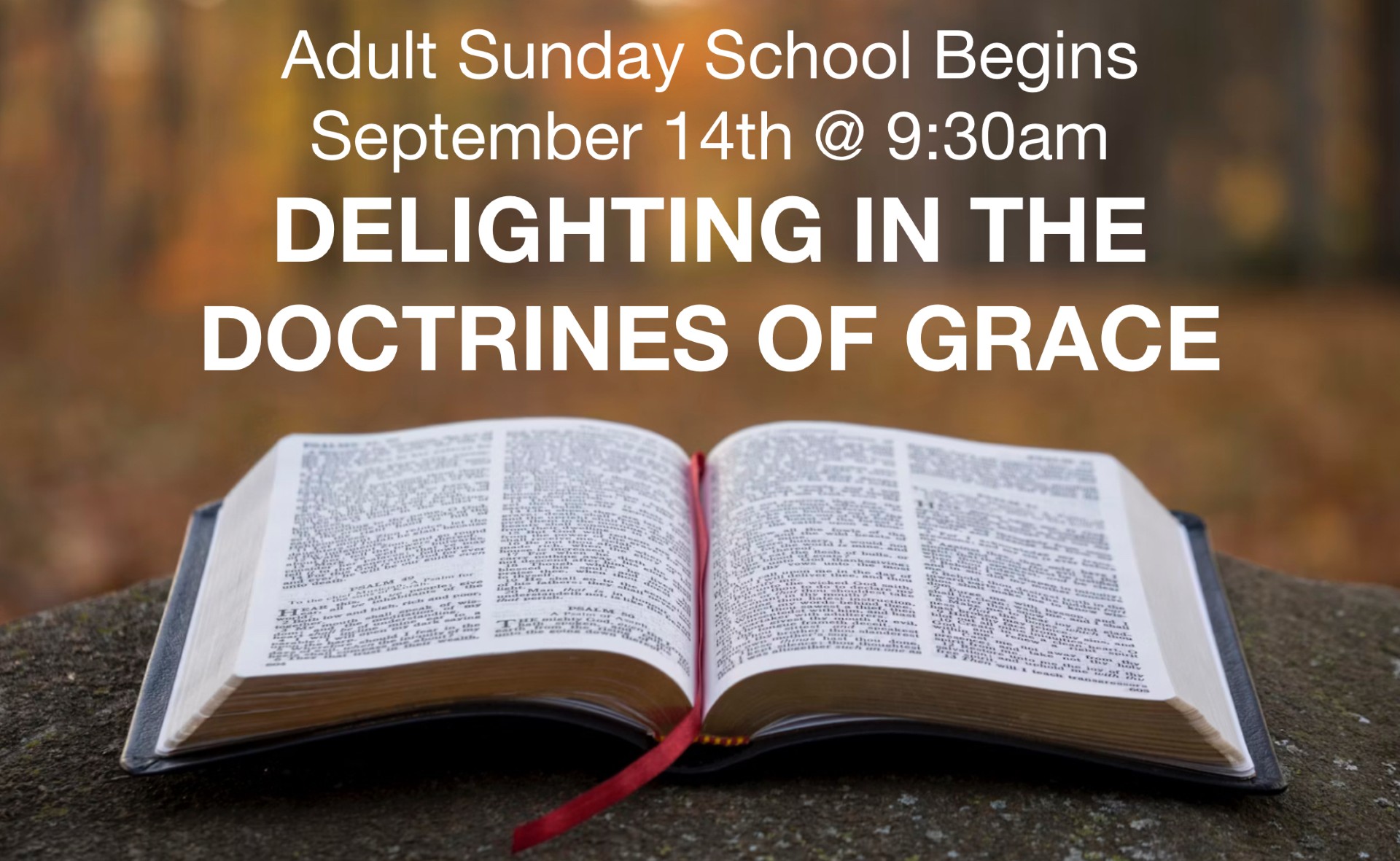 thumbnail_image2 image