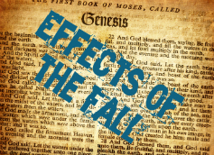 Genesis - Effects of the Fall banner