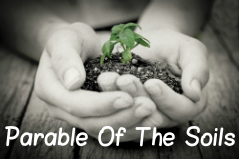Parable of the Soils banner