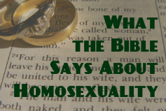 What the Bible Says About Homosexuality banner