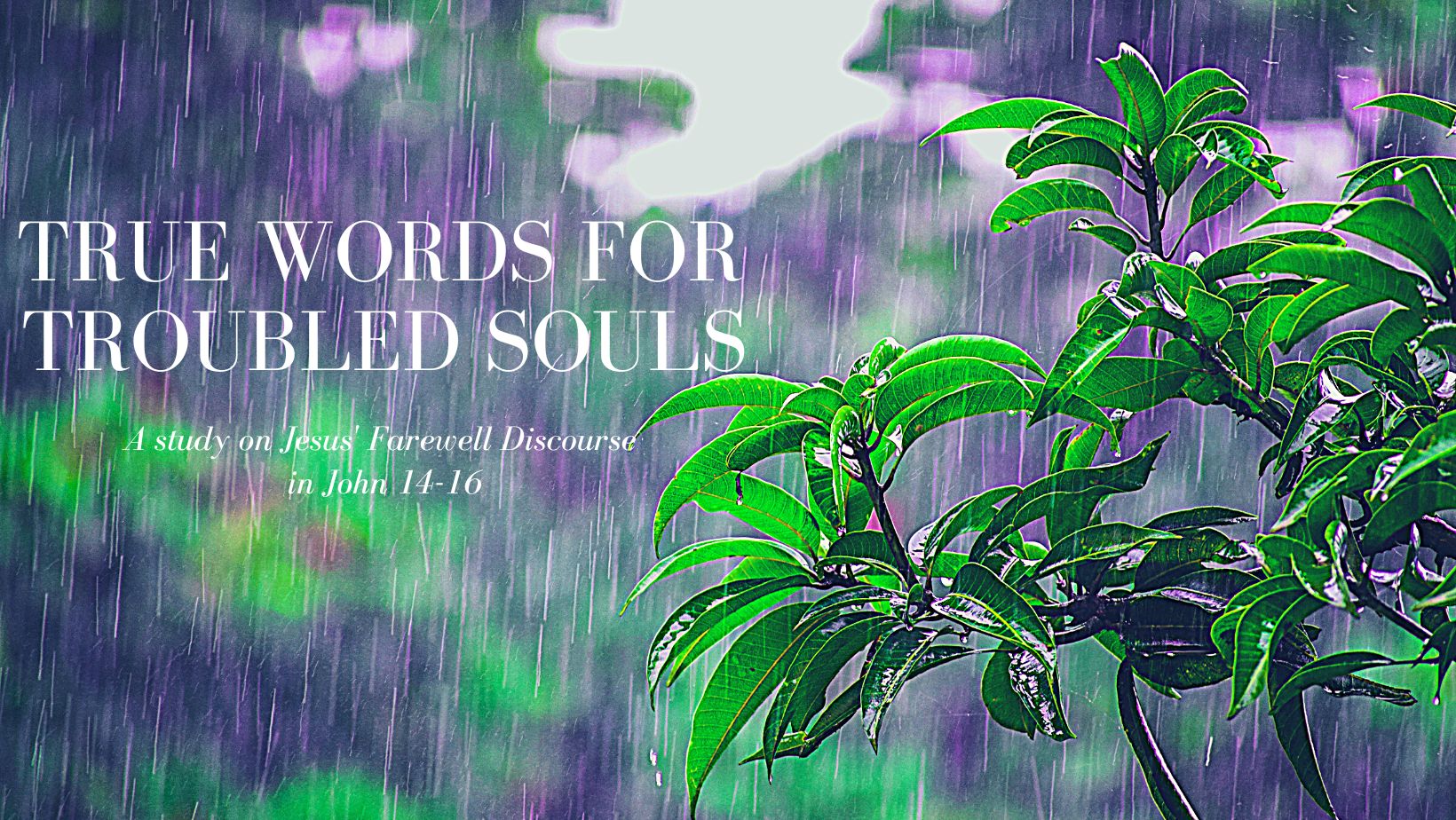 True Words for Troubled Souls banner