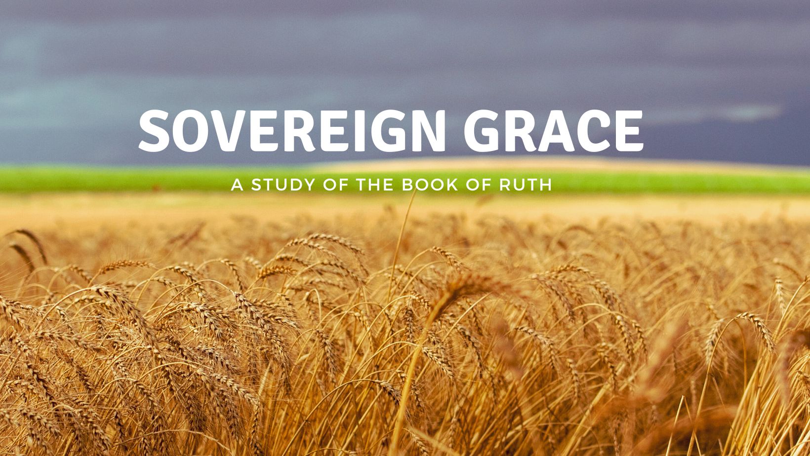Sovereign Grace banner