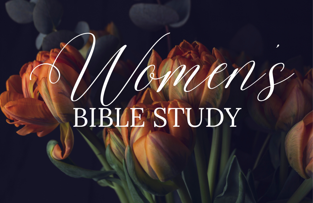 Women’s Bible Study - Evening (1)