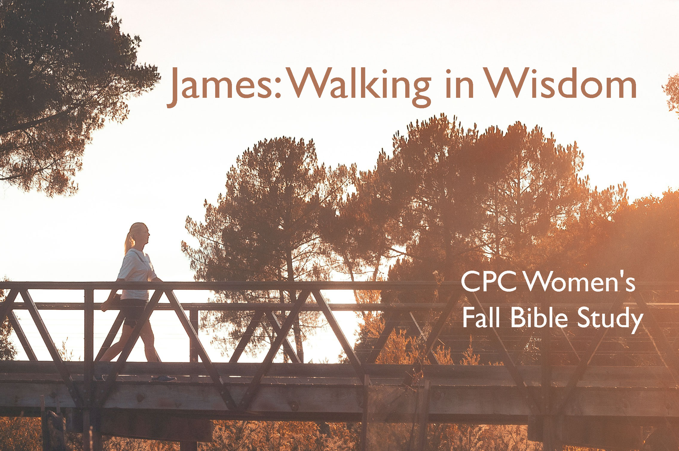 James-Walking-in-Wisdom-v2