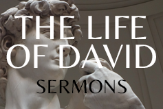 The Life of David: A Story of Sonship banner