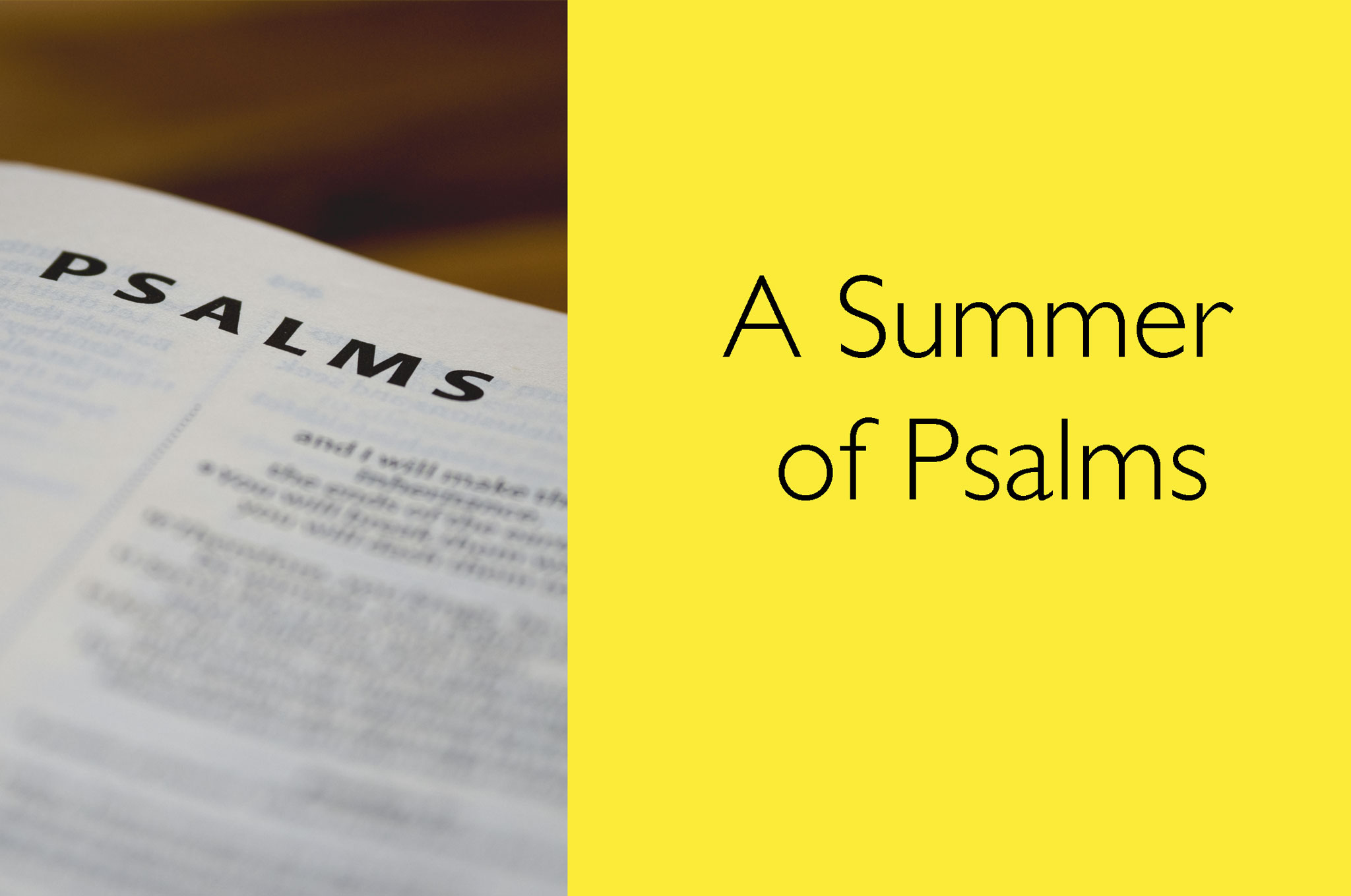 Psalms-WM-Bibld-StudyTag-2048
