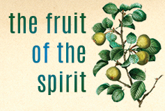 The Fruit of the Spirit banner