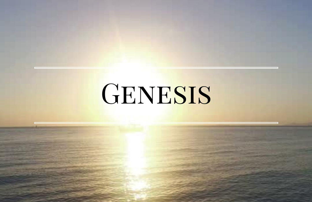 Genesis banner