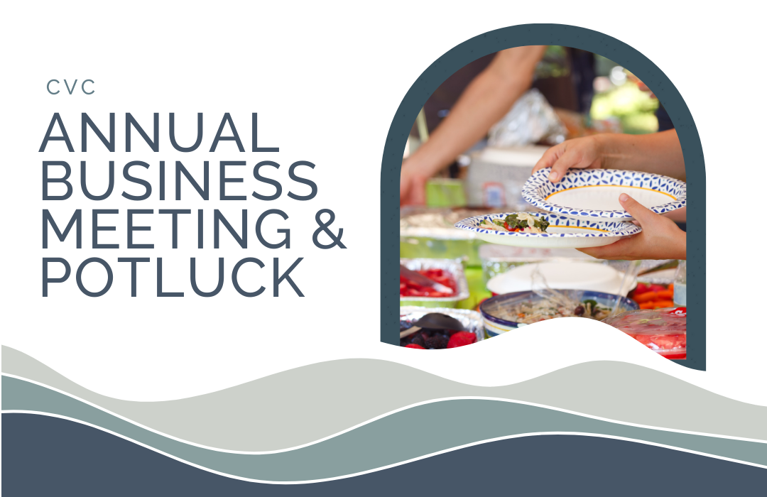 2025 CVC Annual Business Meeting-FI