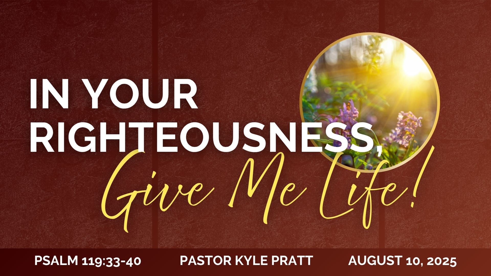 In Your Righteousness, Give Me Life! web 2