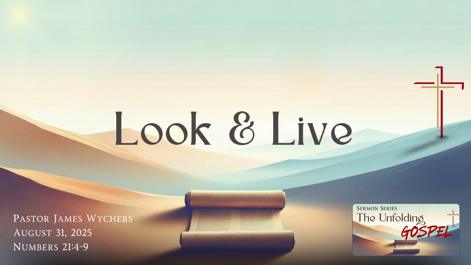 Look & Live
